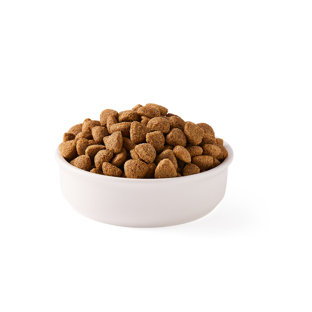 Bild Nandoo Futternapf