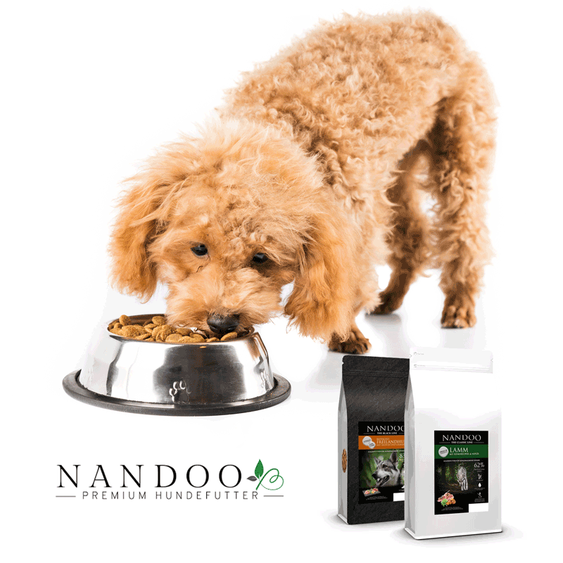 Home Nandoo Futter Bild
