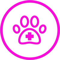 Icon Futter Tierarzt