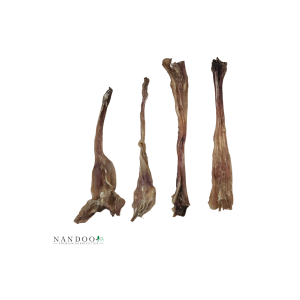 Achillessehne – Rind